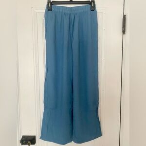 Sheer Blue Cover Up Pants
